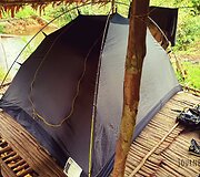 Korowai genties namai