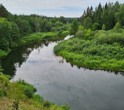 Su dukra &Scaron;imonių girioje