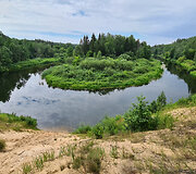 Su dukra &Scaron;imonių girioje