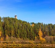 Nemuno kilpų apžvalgos bok&scaron;tas