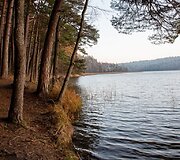 Žaliasis takas