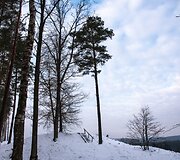Saidės pažintinis takas