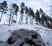 Saidės pažintinis takas