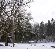 Saidės pažintinis takas
