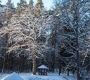 Karmazinų pažintinis takas