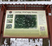 Liepijų pėsčiųjų trasa