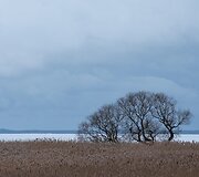 Kintų girininkijos pažintinis takas