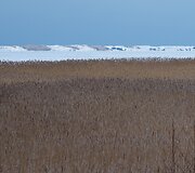 Kintų girininkijos pažintinis takas