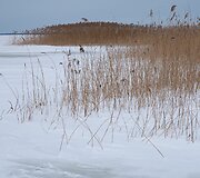 Kintų girininkijos pažintinis takas