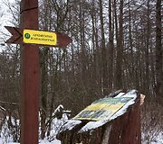 Kintų girininkijos pažintinis takas