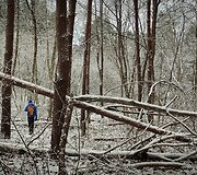 Žygis palei Vilniaus sienas