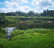 Viek&scaron;niai