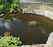 Viek&scaron;niai