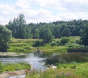 Viek&scaron;niai