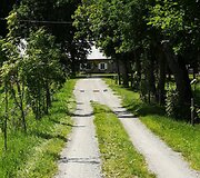 Mangusto takas ir Pavirvytės dvaras