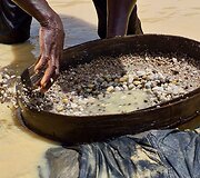Ie&scaron;ko deimantų. Sierra Leone