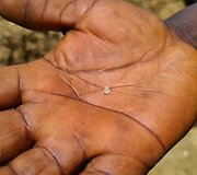Prie manęs rastas deimantas. Sierra Leone