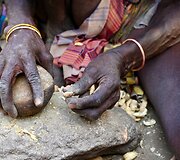 Vienintelis maistas sausros laikotarpiu. Pietų Sudanas