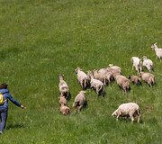 Ribi&scaron;kių kra&scaron;tovaizdžio draustinyje