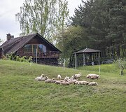 Ribi&scaron;kių kra&scaron;tovaizdžio draustinyje