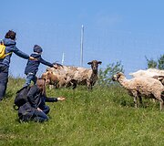 Ribi&scaron;kių kra&scaron;tovaizdžio draustinyje