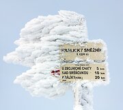 Sniežniko masyvas Rytų Sudetuose