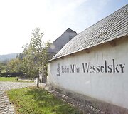 Ml&yacute;n wesselsky 