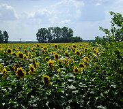 Kelionė į Balkanus