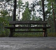HBH Pelkių takas