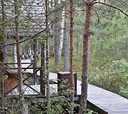 HBH Pelkių takas