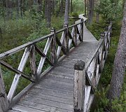 HBH Pelkių takas