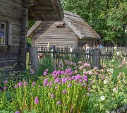 Daugyvenės kultūros istorijos muziejus-draustinis (Radvili&scaron;kio r.)