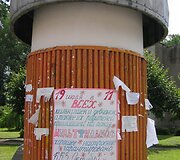 Lazdynų vaizdai