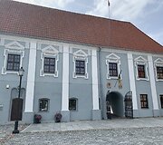 Rotu&scaron;ė
