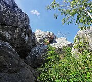 Kelionė į Zakopanę