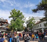 Kelionė Zakopanėje