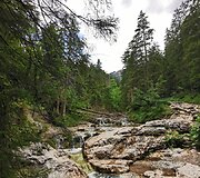Kelionė Zakopanėje