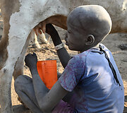 Oro pūtimas į užpakalį, kad karvės daugiau pieno duotų