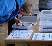 Archeologinė diena Daugyvenės kultūros istorijos muziejaus-draustinio &Scaron;eduvos kra&scaron;totyros skyriuje