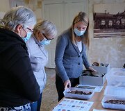 Archeologinė diena Daugyvenės kultūros istorijos muziejaus-draustinio &Scaron;eduvos kra&scaron;totyros skyriuje
