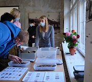 Archeologinė diena Daugyvenės kultūros istorijos muziejaus-draustinio &Scaron;eduvos kra&scaron;totyros skyriuje