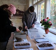 Archeologinė diena Daugyvenės kultūros istorijos muziejaus-draustinio &Scaron;eduvos kra&scaron;totyros skyriuje