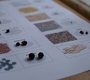 Archeologinė diena Daugyvenės kultūros istorijos muziejaus-draustinio &Scaron;eduvos kra&scaron;totyros skyriuje