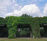 Kelionė i&scaron; Zakopanės į Vilnių