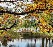 Ruduo Pakruojo dvare