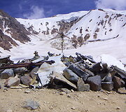 Nelaimės vietoje 2006 m.