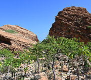 Kelionė nuo Arher paplūdimio iki Hoq olos