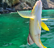 Kelionė valtimi į atokiausią salos paplūdimį Shoab