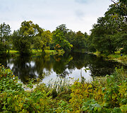 Vladiki&scaron;kių (Stasiūnų) dvaro tvenkinys (Kai&scaron;iadorių r.)
