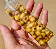 Maistas Siera Leonėje